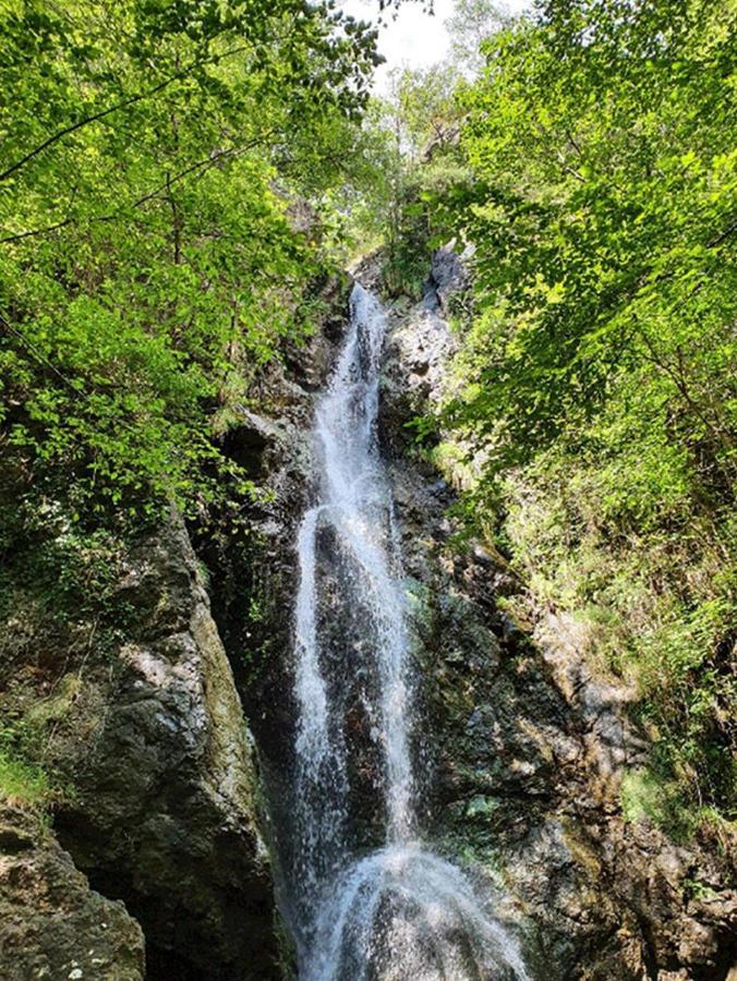 Borzonasca Il Bosco Di Campo Marzano Garden Apartments מראה חיצוני תמונה