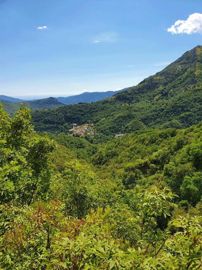 Borzonasca Il Bosco Di Campo Marzano Garden Apartments מראה חיצוני תמונה