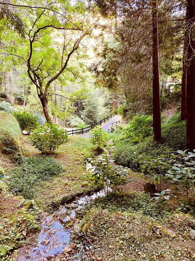 Borzonasca Il Bosco Di Campo Marzano Garden Apartments מראה חיצוני תמונה