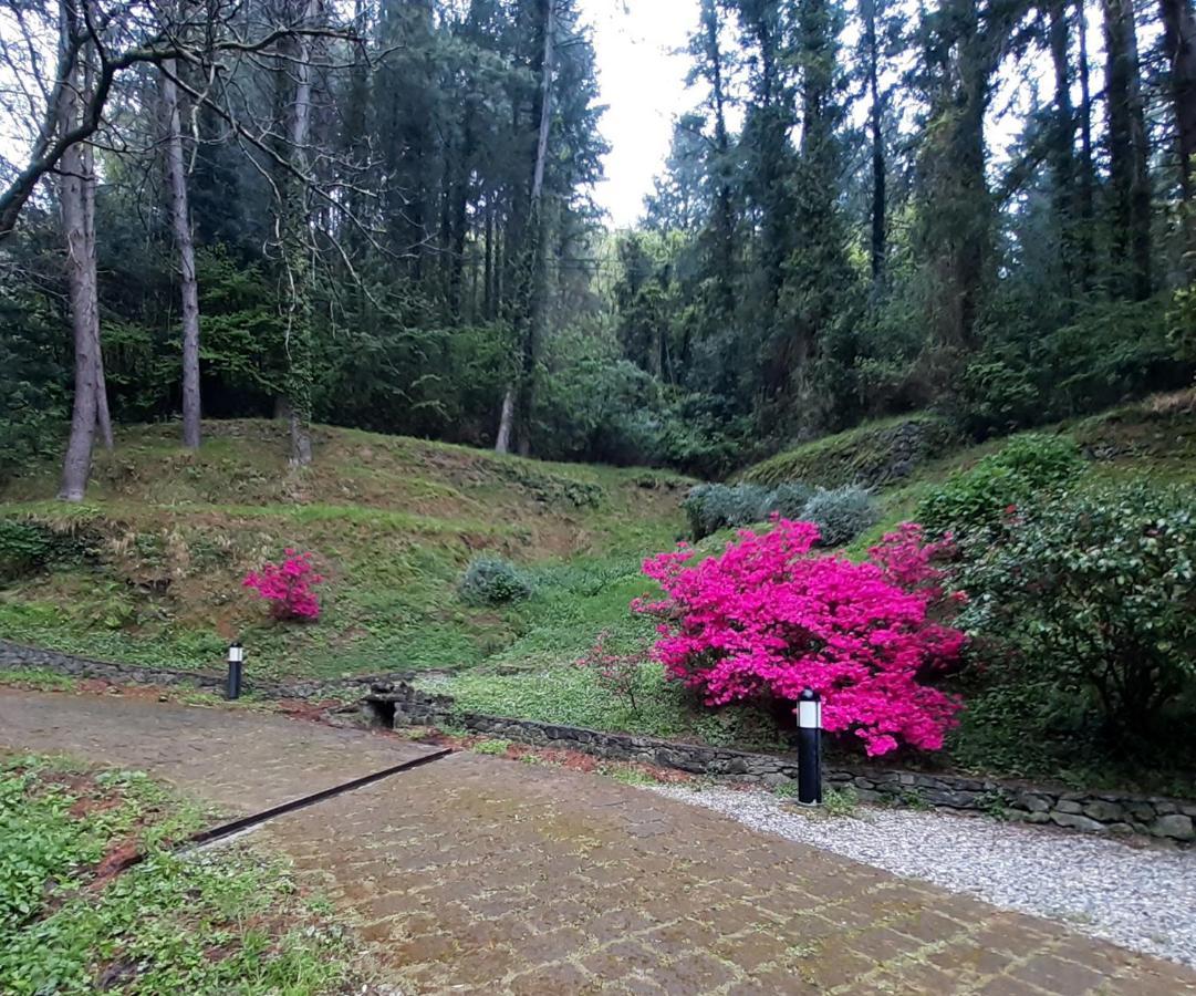 Borzonasca Il Bosco Di Campo Marzano Garden Apartments מראה חיצוני תמונה