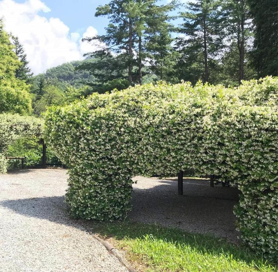 Borzonasca Il Bosco Di Campo Marzano Garden Apartments מראה חיצוני תמונה