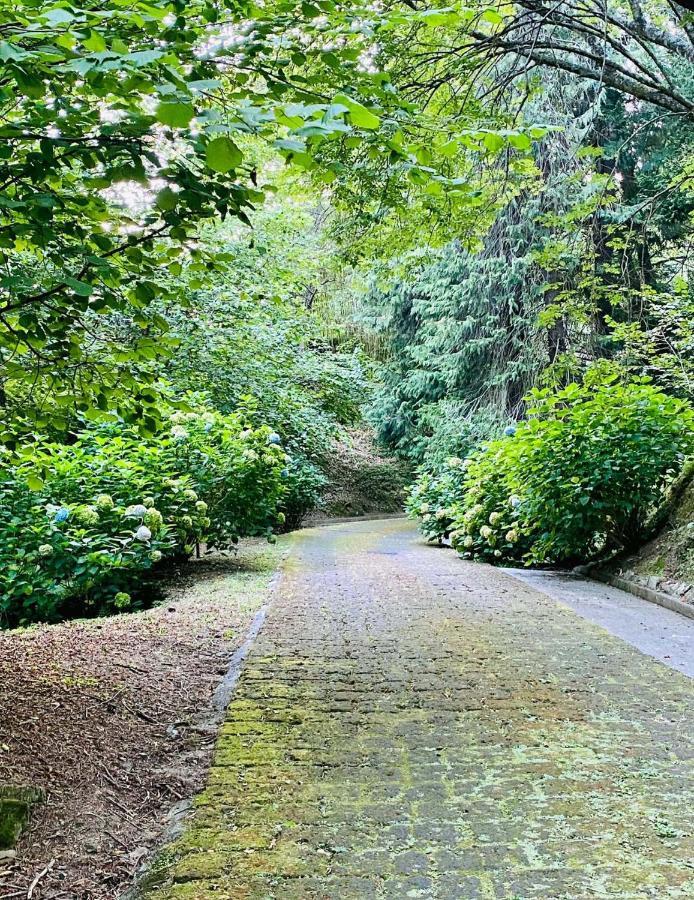 Borzonasca Il Bosco Di Campo Marzano Garden Apartments מראה חיצוני תמונה