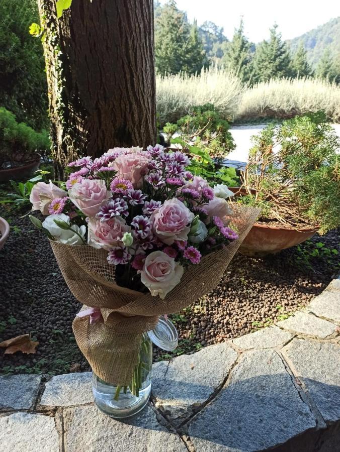 Borzonasca Il Bosco Di Campo Marzano Garden Apartments מראה חיצוני תמונה