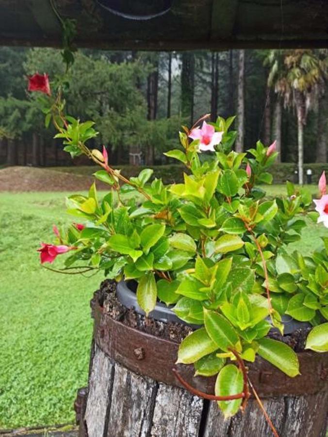 Borzonasca Il Bosco Di Campo Marzano Garden Apartments מראה חיצוני תמונה