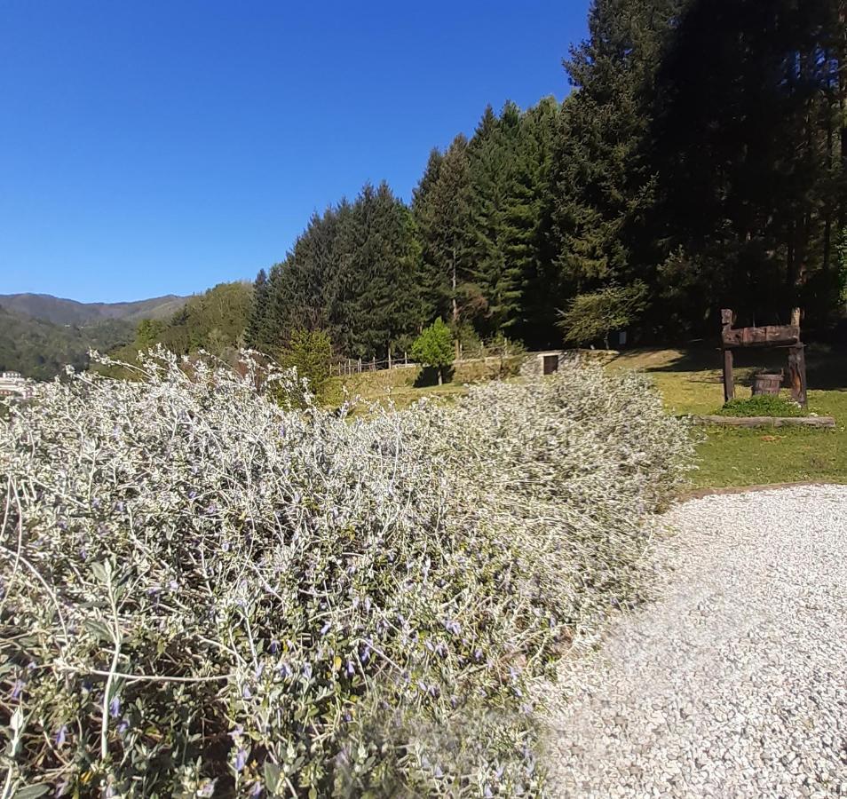 Borzonasca Il Bosco Di Campo Marzano Garden Apartments מראה חיצוני תמונה