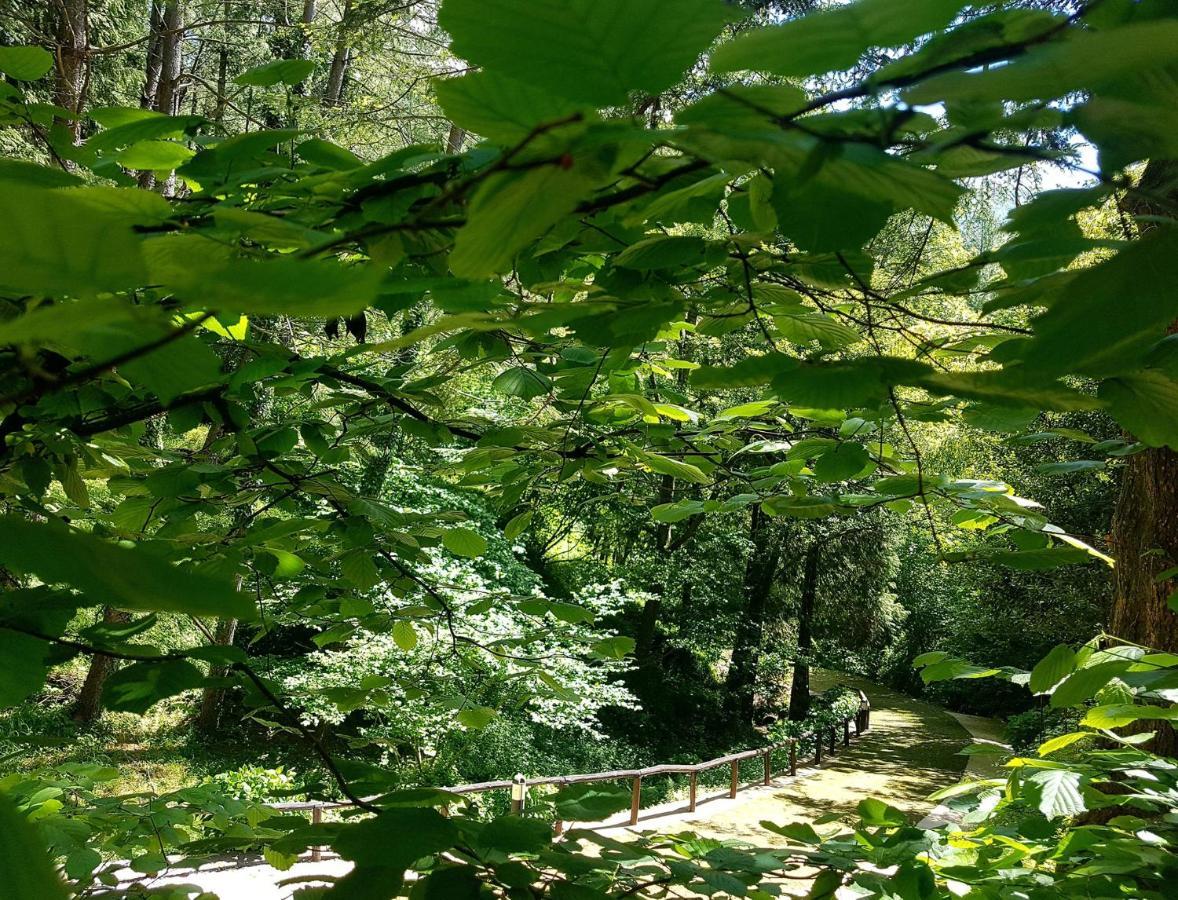 Borzonasca Il Bosco Di Campo Marzano Garden Apartments מראה חיצוני תמונה