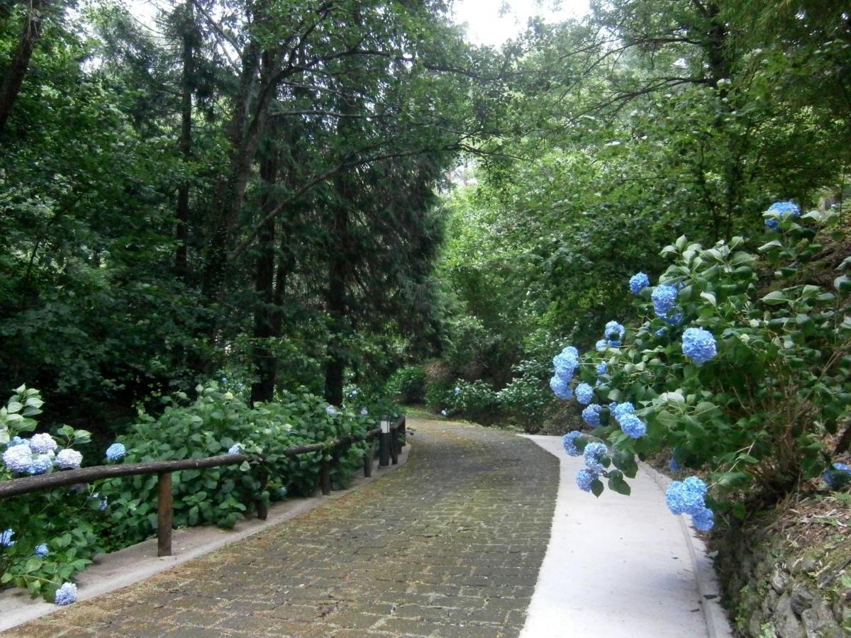 Borzonasca Il Bosco Di Campo Marzano Garden Apartments מראה חיצוני תמונה