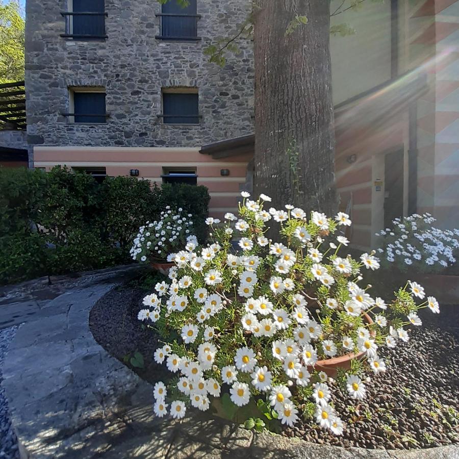Borzonasca Il Bosco Di Campo Marzano Garden Apartments מראה חיצוני תמונה