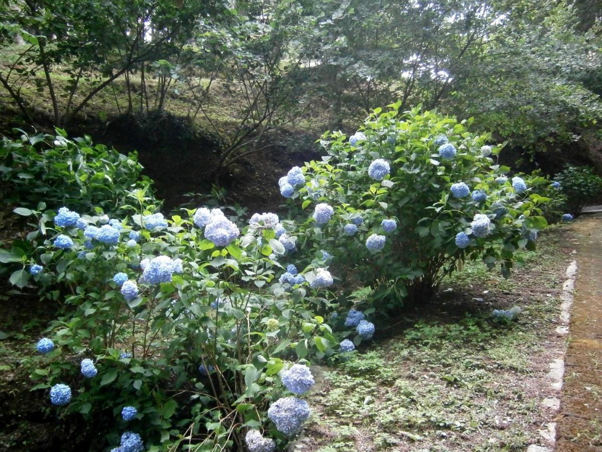 Borzonasca Il Bosco Di Campo Marzano Garden Apartments מראה חיצוני תמונה